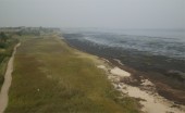 Wattenblick 1