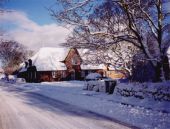 Im Winter 1