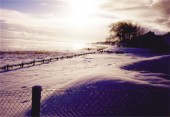 Im Winter 2