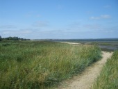 Wattenblick 3