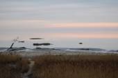 Wattenblick 2
