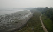 Wattenblick 4